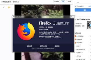 火狐网在线视频,探索无限精彩瞬间